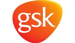 GSK 01